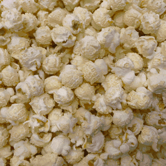 popcorn day characteristics sq 1