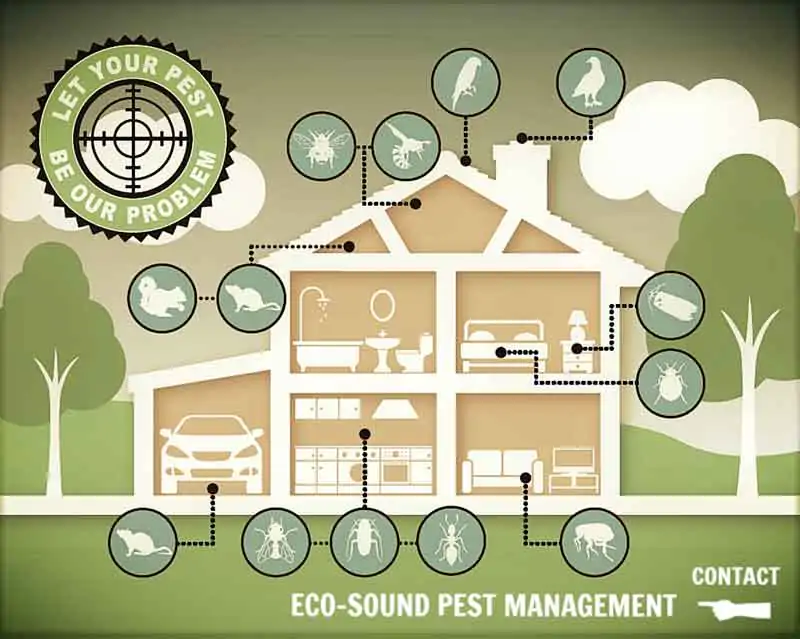 Eco-Sound Pest Management Steps Up for DMCII